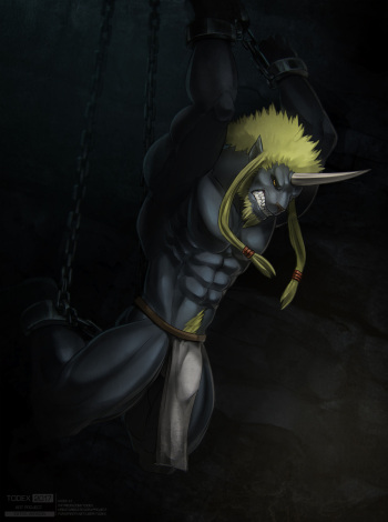 Biran Ronso cover