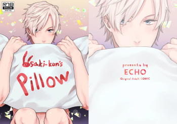 Usaki-kun no Makura cover