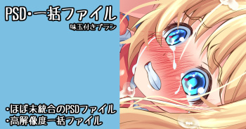 Hime-sama no Shinshitsu ni Shinnyuusha Ali 3 cover