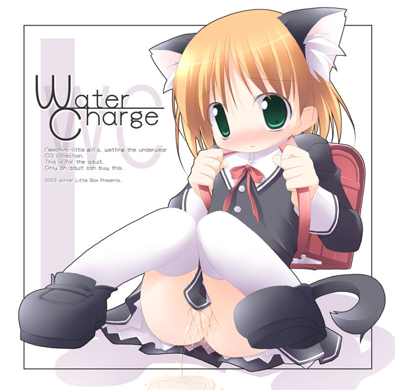 Water Charge page 2 full