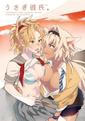 Usagi Kareshi. cover