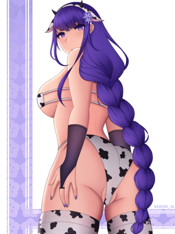 Raiden Shogun Ass Collection cover
