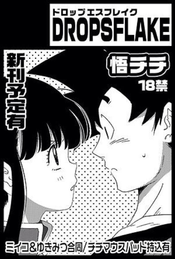 Spacomi new book sample and circle information goku x chichi page 5 full