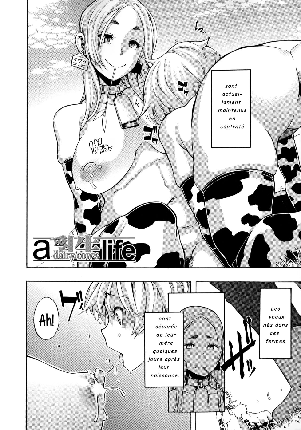A Nyuugyuu Life | A Dairy Cow's Life page 2 full