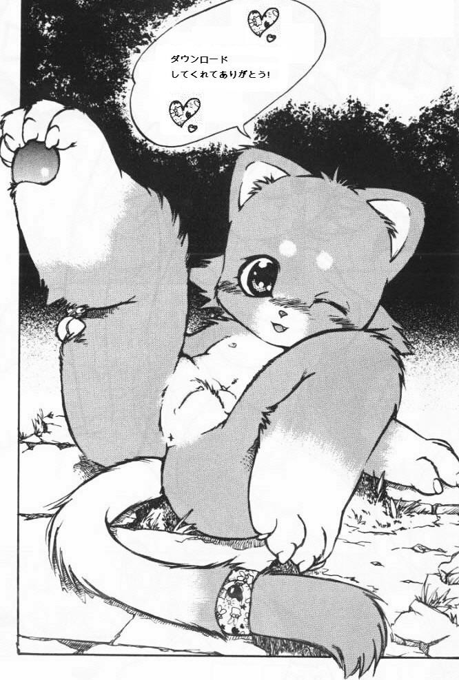 Category - ; page 9 full