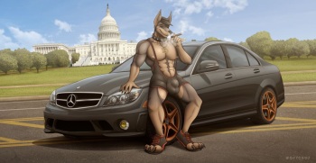 EssZX Gallery cover