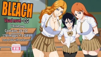 Bleach Visual Novel cover