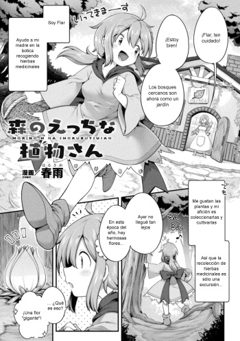 Morino h na shokubutsusan | Naughty Plant in the Forest cover