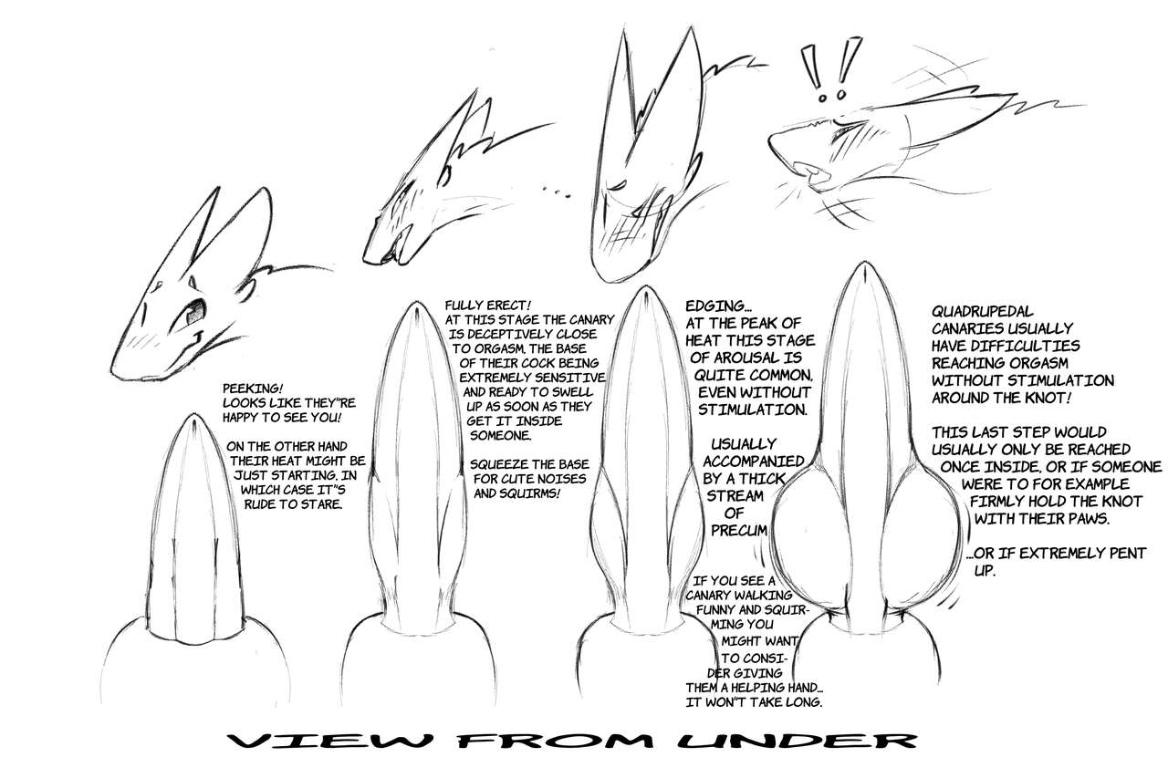 Furry Porn and Fetish Images page 10 full