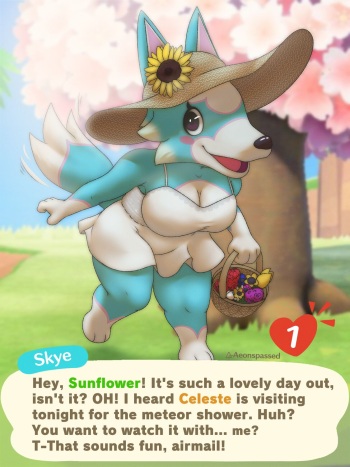 Skye cover