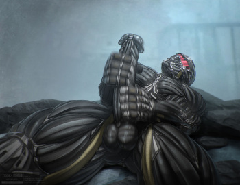 Nanosuit cover