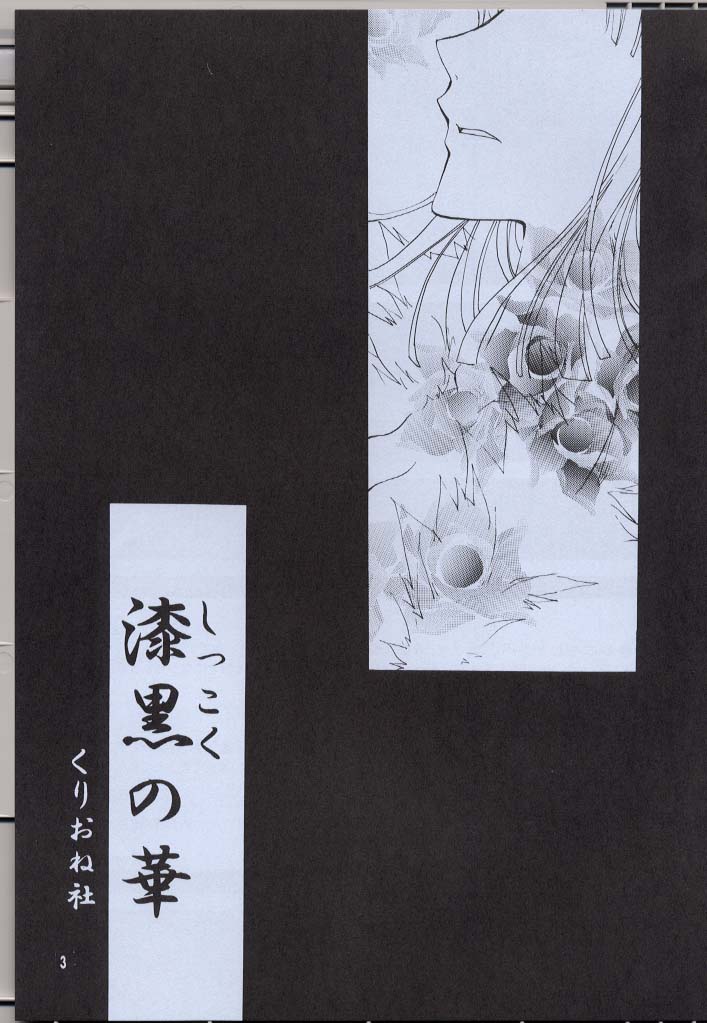 Shikkoku no Hana page 3 full