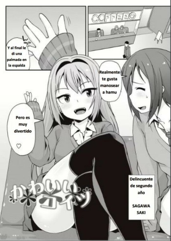 Kawaii Koitsu cover