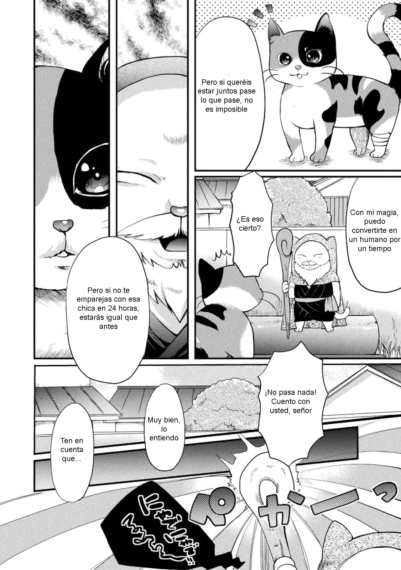 Chotto Koneko ga Ojamashimasu page 4 full