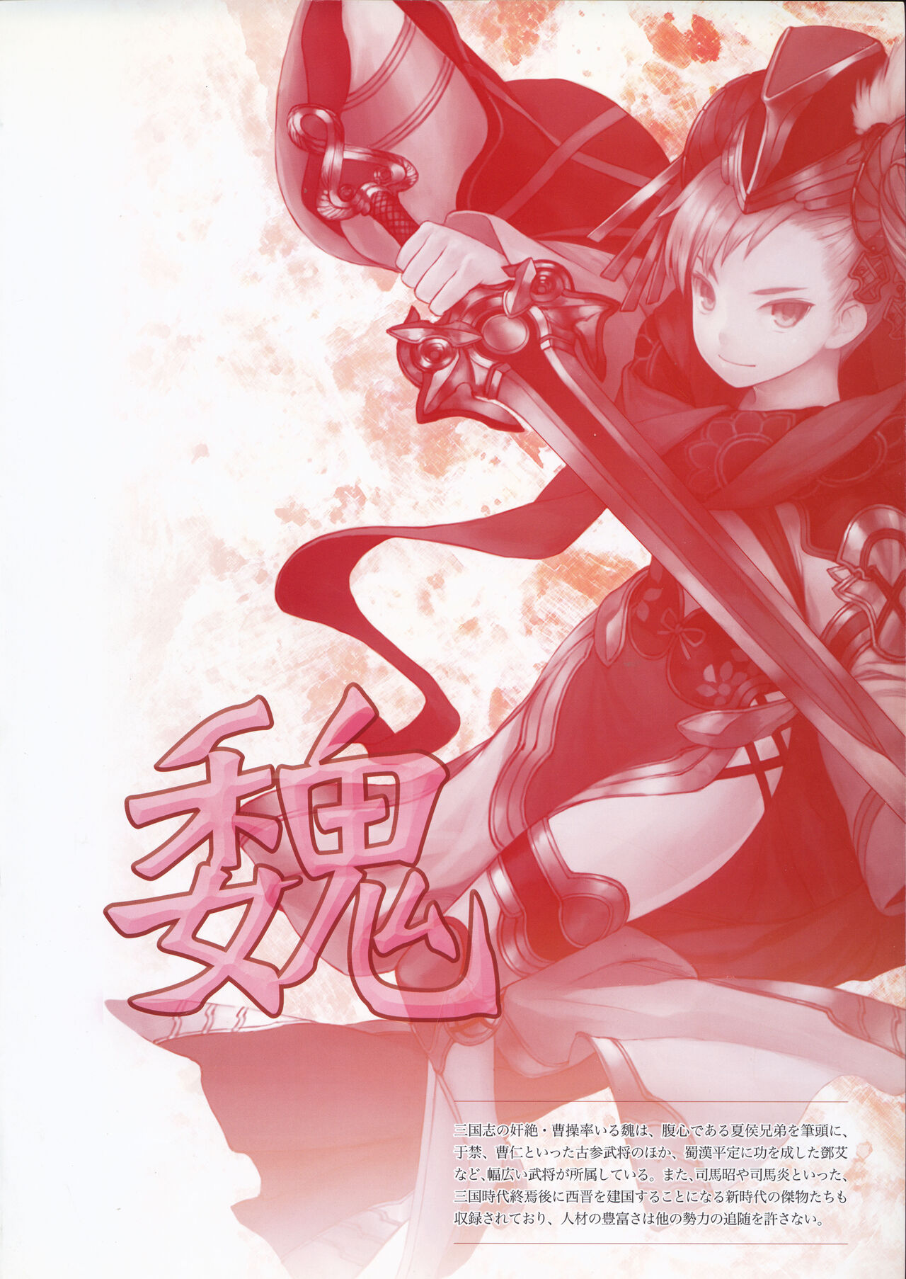 三国志大戦トレーディングカードゲーム ビジュアルガイド 戦乱 - sega page 10 full