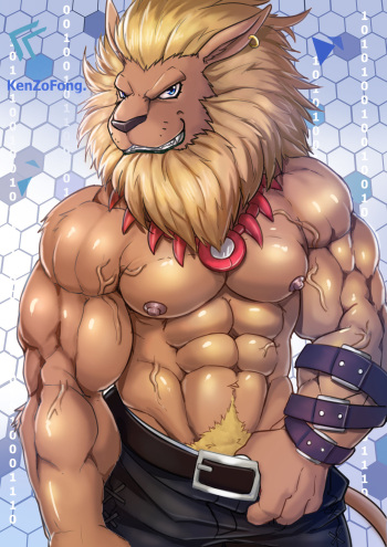 Leomon Set cover