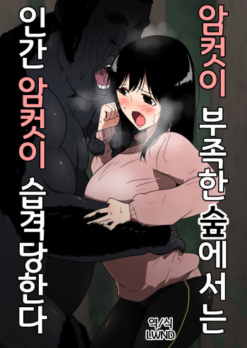Mesu ga Fusoku Shita Mori de wa Ningen no Mesu ga Osowareru  |  암컷이 부족한 숲에서는 인간 암컷이 습격당한다 cover
