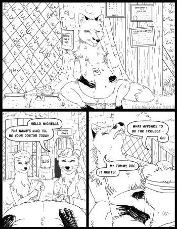 Nino and Viola Stoat series cover