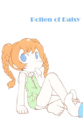 Pollen of Daisy cover