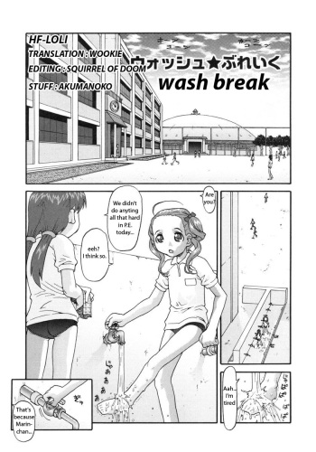 Wash Break cover