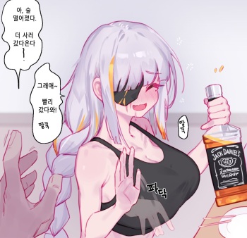 M16A1 cover