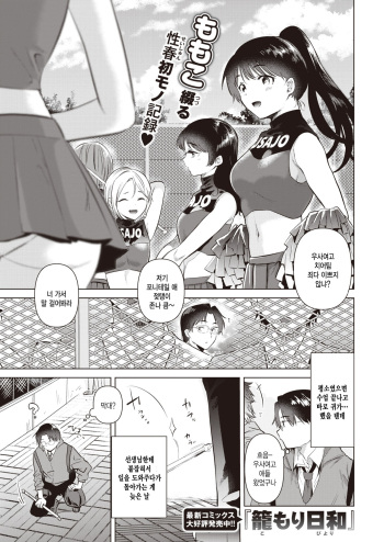 Hajimari no Natsu cover