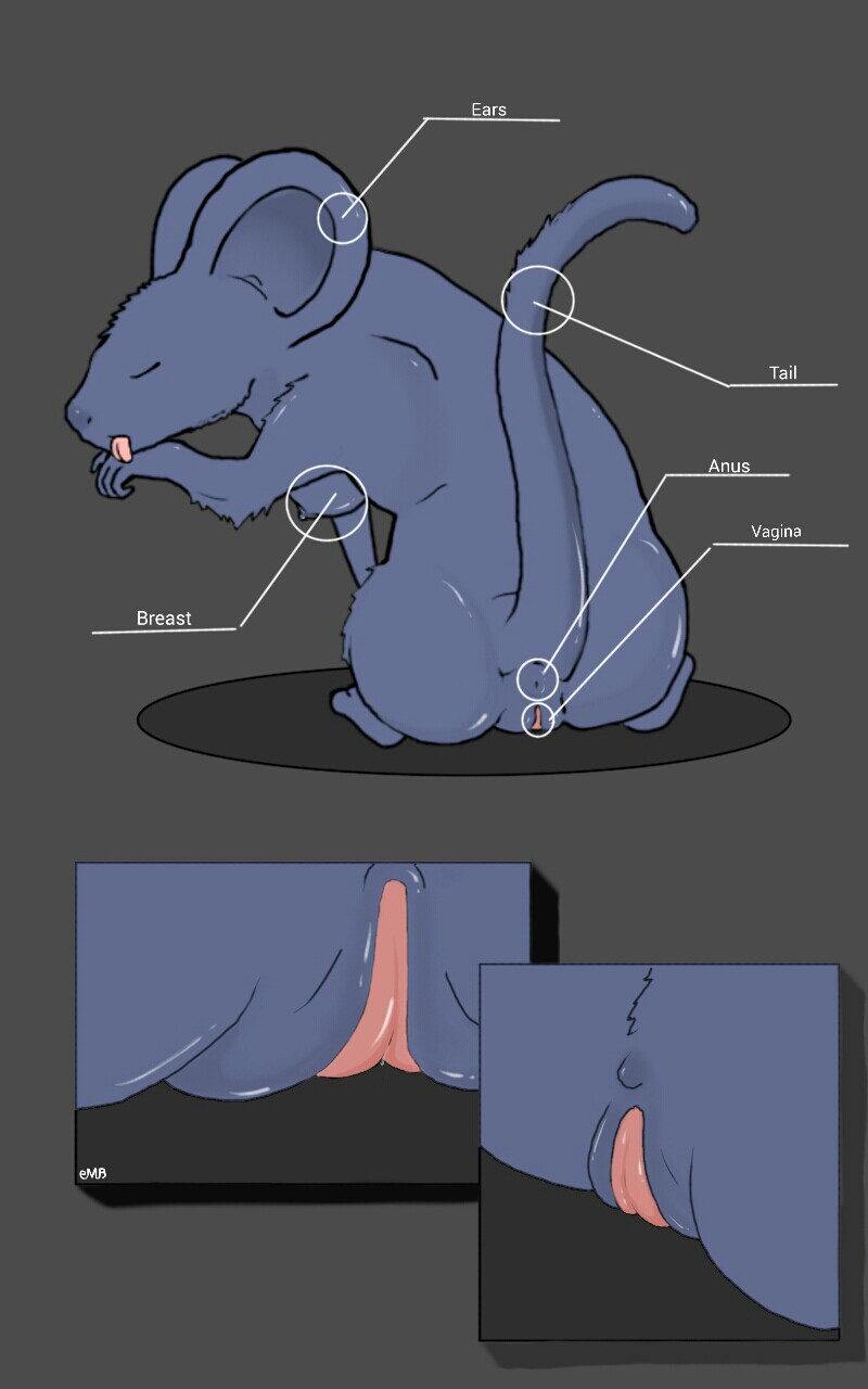 Creature Studies page 2 full