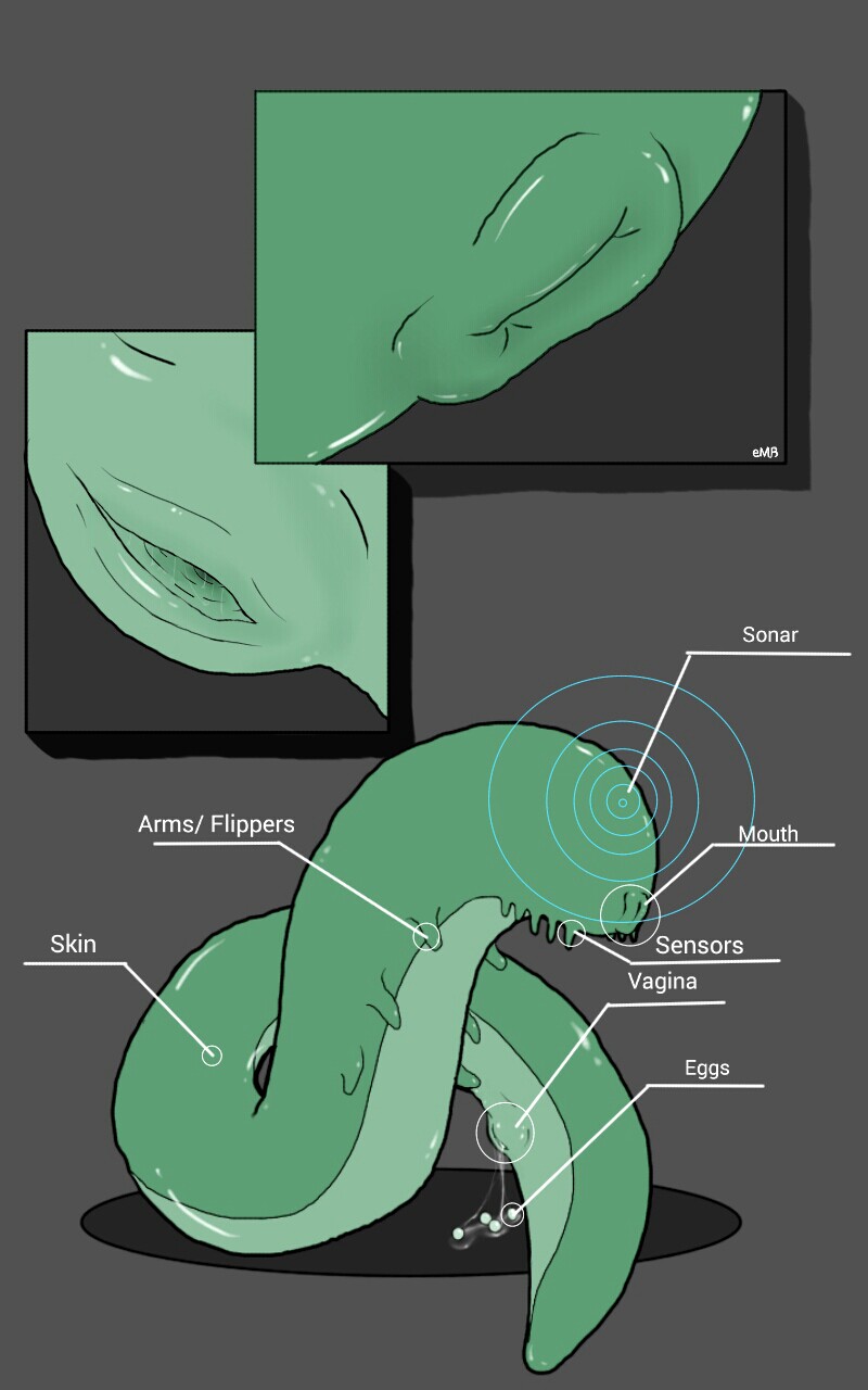 Creature Studies page 3 full