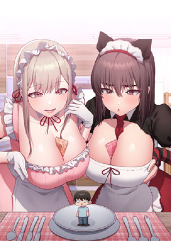 Maid Rehabilitation cover