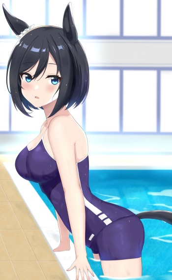 ●PIXIV● ワカメマーク cover