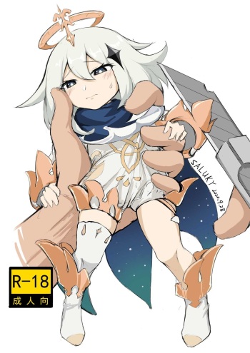 Paimonahole cover
