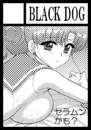 Some Other Pictures page 5 full