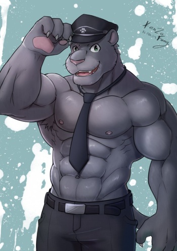 Manchas Set cover