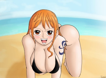 Nami on all fours cover