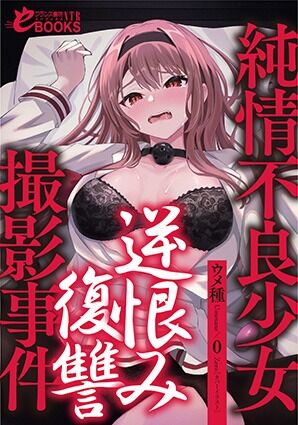 フランス書院 novel cover illust compliation page 10 full