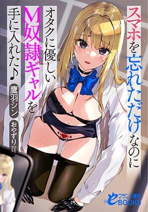 フランス書院 novel cover illust compliation page 6 full