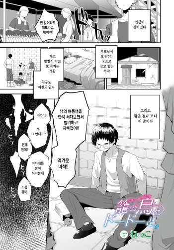 Kago no Tori to Dodo to | 새장의 새와 도도와 cover