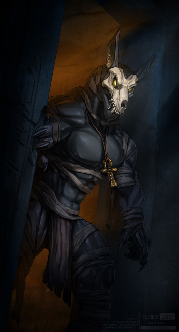 Anubis cover