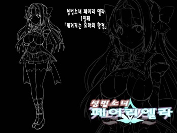 Seihou Shoujo Fair Riera | 성법소녀 페어리 엘라 cover