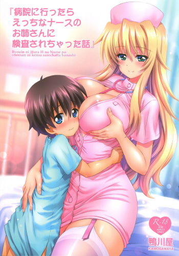 Byouin ni Ittara Ecchi na Nurse no Onee-san ni Kensa sarechatta Hanashi cover