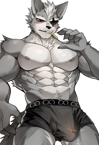 Wolf O'Donnell cover