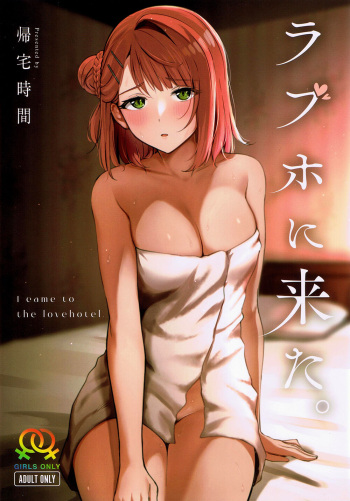 I came to lovehotel cover
