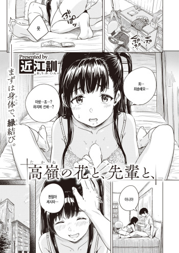 Takane no Hana to, Senpai to, cover