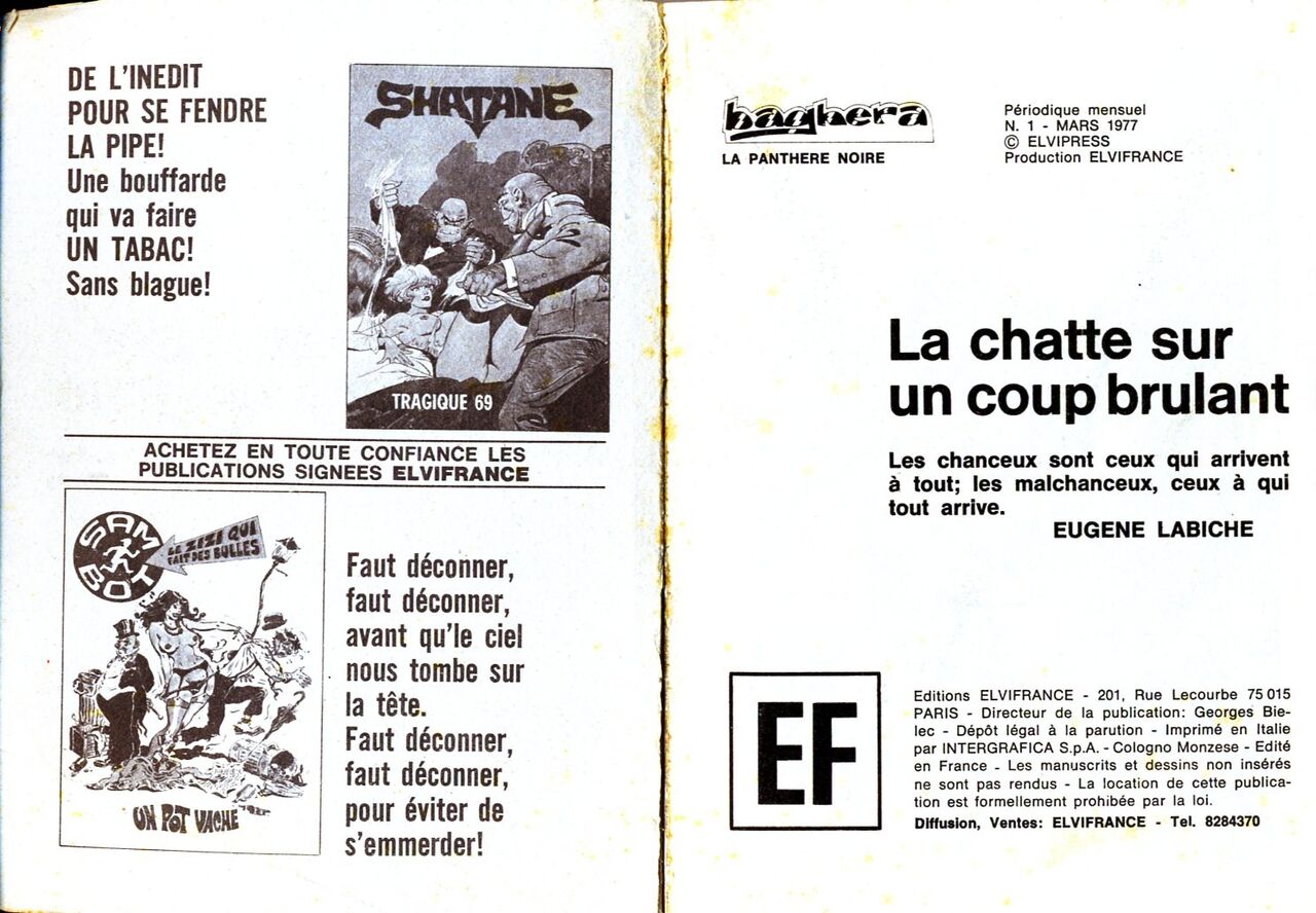 PFA - Elvifrance - Baghera #1 La chatte sur un coup brûlant page 2 full