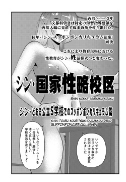 [WalterWolf] Shin Kokka Seiryaku Kouku