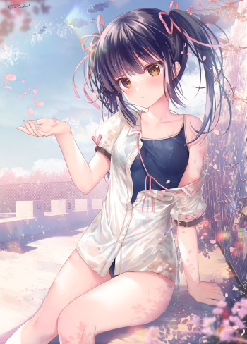 pixiv TwinBox cover