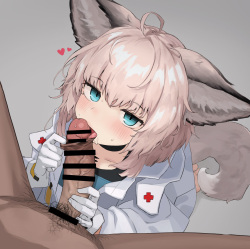 timitarcat