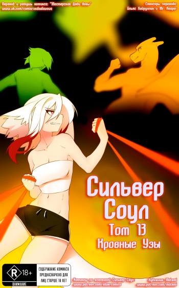 Silver Soul Vol. 13 | Сильвер Соул Том 13 cover