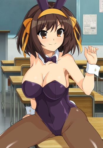Haruhi Bunny Nude cover