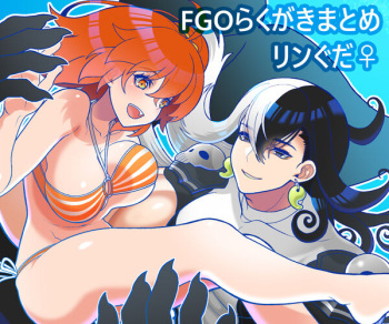 FGO Rakugaki Tsume 11 "LimGuda / DouGuda" cover